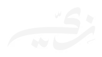 ZAY logo